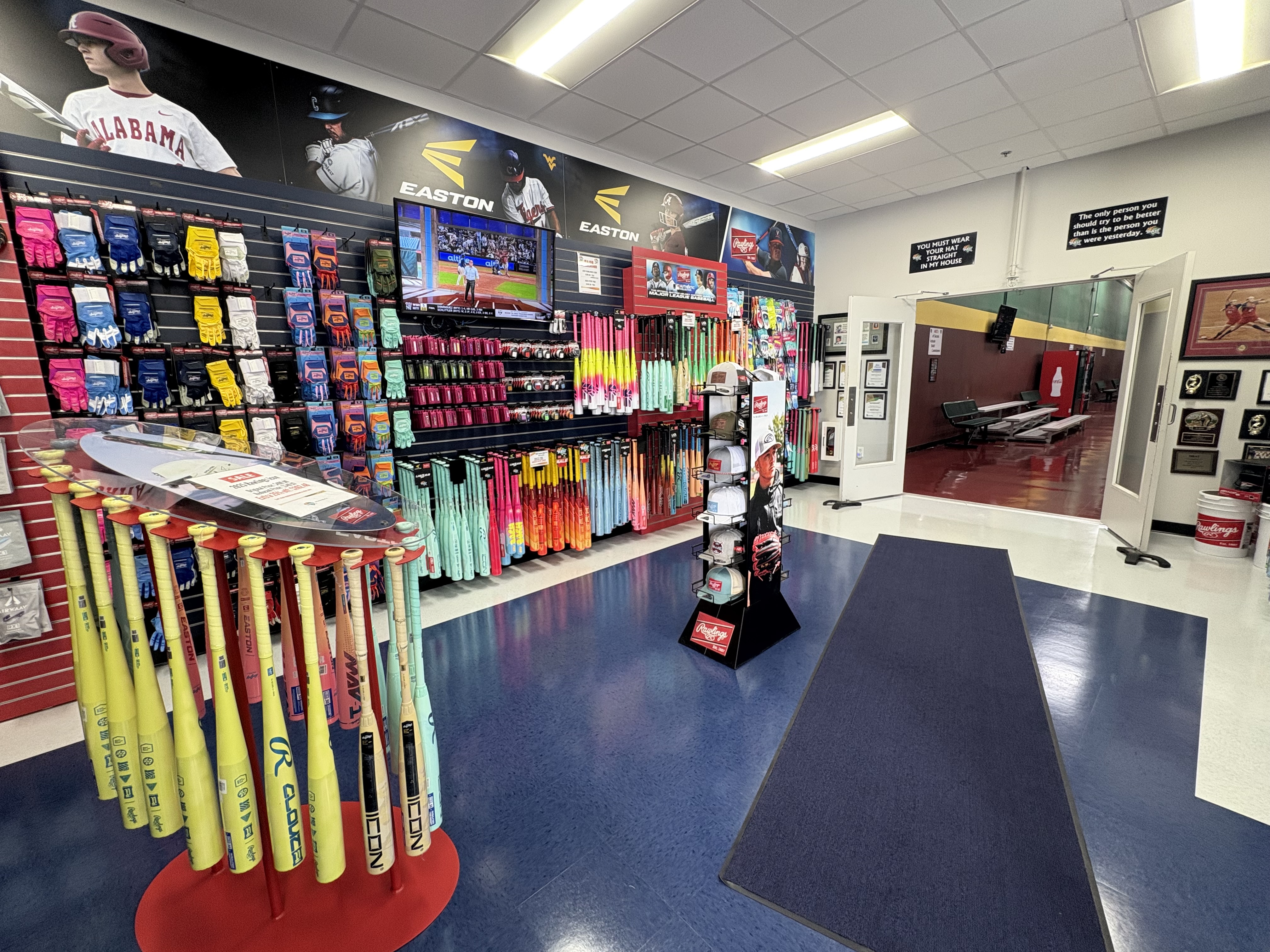 D-BAT Virginia Beach